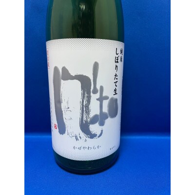 人気のしぼりたて!　金鶴　純米　風和　「しぼりたて生」720ml×2本