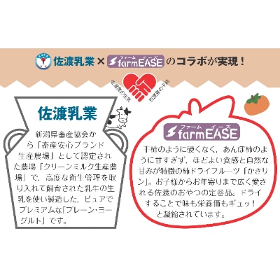 かきリンヨーグルト　12個入り