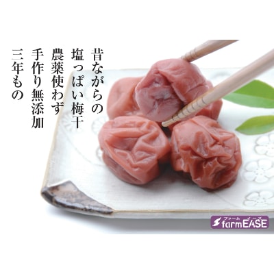 昔ながらの塩っぱい梅干　16パック入り