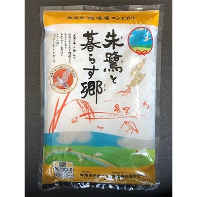 【佐渡×慶應ラグビー倶楽部】金粉入りオリジナル焼酎「黒黄」と限定認証米「朱鷺と暮らす郷」のセット