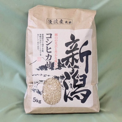 佐渡外海府産コシヒカリ 玄米 5kg
