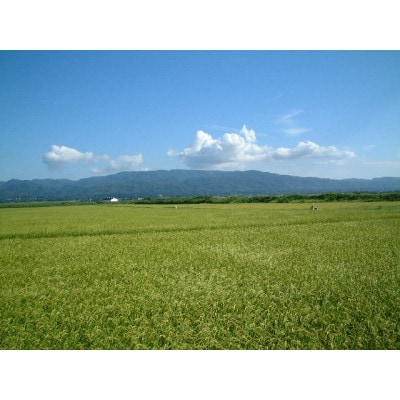令和6年産　佐渡産コシヒカリ米「朱鷺の舞」(精米)10kg(5kg×2袋)