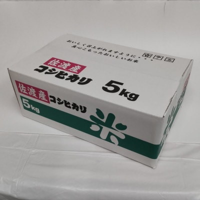 令和8年産　佐渡産コシヒカリ米「朱鷺の舞」5kg