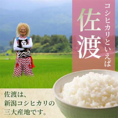 令和8年産　佐渡産コシヒカリ米「朱鷺の舞」(精米)10kg(5kg×2袋)