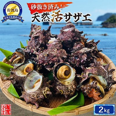 佐渡産 天然活サザエ 約2kg