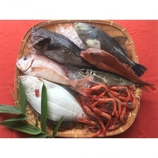 佐渡産 天然お任せ鮮魚セット 5kg