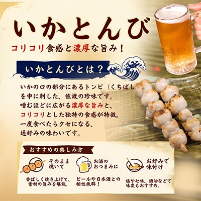 珍味 いかとんび 6袋