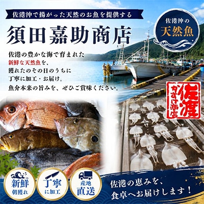 珍味 いかとんび 6袋