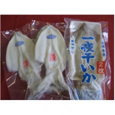 天日干し 一夜干しいかのセット(アオリイカ&スルメイカ)