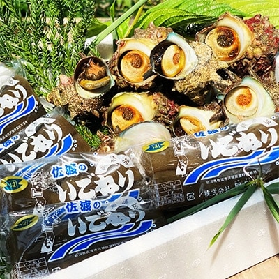 佐渡産　活サザエ1.2kg(8～10個)+佐渡のソールフード「いごねり」5パック