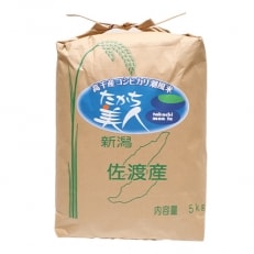 令和4年産　佐渡市高千産コシヒカリ　潮風米「たかち美人」5kg(精米) | ふるさと納税のお礼品