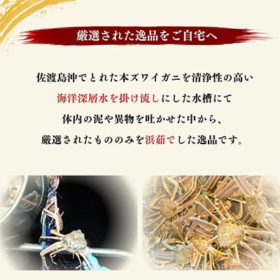 佐渡産 本ずわいがに 750g前後 1杯