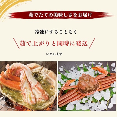 佐渡産 本ずわいがに 750g前後 1杯
