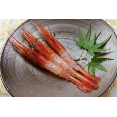 佐渡島産 南蛮エビ(甘えび) 800g