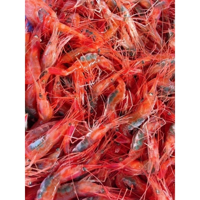 佐渡島産 南蛮エビ(甘えび) 400g