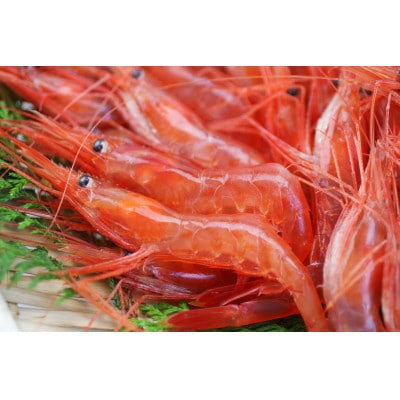 南蛮エビの素干し 20g×4P