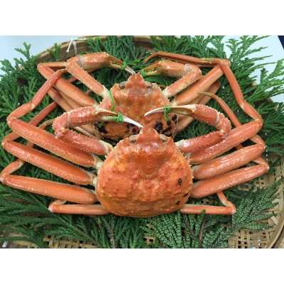 佐渡産 本ずわいがに 800g(400g×2杯)