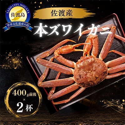 佐渡産 本ずわいがに 800g(400g×2杯)