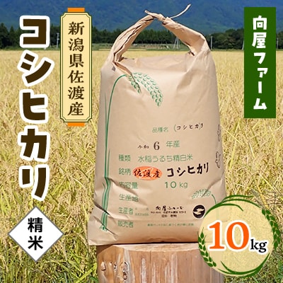 【令和6年】向屋ファーム・佐渡産「コシヒカリ」10kg