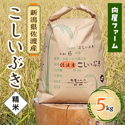 【令和6年】向屋ファーム・佐渡産「こしいぶき」5kg