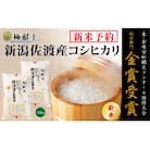 【令和7年産新米先行予約】　　　　　　　金賞受賞　佐渡産コシヒカリ　　　　10kg(5kg×2)　