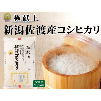 【毎月定期便】米・食味分析鑑定コンクール金賞 佐渡産コシヒカリ 精米 5kg全6回