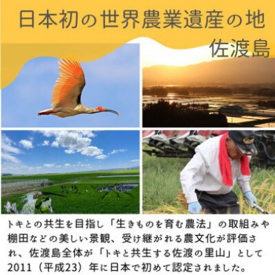 <数量限定>【令和6年産】佐渡国仲平野産コシヒカリ　精米【無洗米】5kg