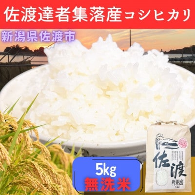 <数量限定>【令和6年産】佐渡達者集落産コシヒカリ　精米【無洗米】5kg