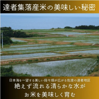 <数量限定>【令和6年産】佐渡達者集落産コシヒカリ　精米【無洗米】5kg