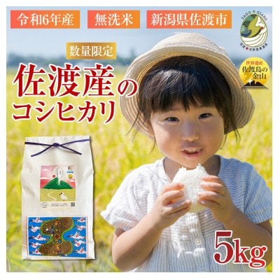 <数量限定>【令和6年産】新潟県佐渡産の純粋コシヒカリ　精米【無洗米】5kg