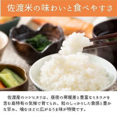 <数量限定>【令和6年産】新潟県佐渡産の純粋コシヒカリ　精米【無洗米】5kg