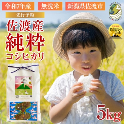 数量限定【先行予約・令和7年産】新潟県佐渡産の純粋コシヒカリ　精米【無洗米】5kg　(1回のみ)