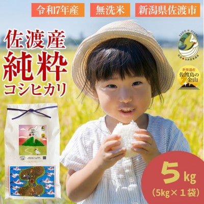 数量限定【令和7年産】新潟県佐渡産の純粋コシヒカリ　精米【無洗米】5kg　(1回のみ)