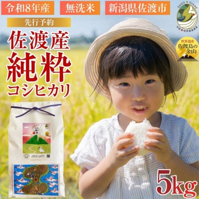 数量限定【令和8年産】新潟県佐渡産の純粋コシヒカリ　精米【無洗米】5kg　(1回のみ)