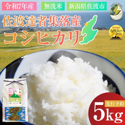 数量限定・生産地域限定【先行予約・令和7年産】新潟県佐渡達者集落産コシヒカリ　精米(無洗米)5kg