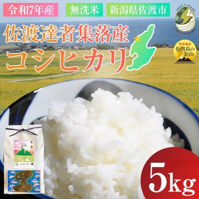 数量限定・生産地域限定【令和7年産】新潟県佐渡達者集落産コシヒカリ　精米(無洗米)5kg