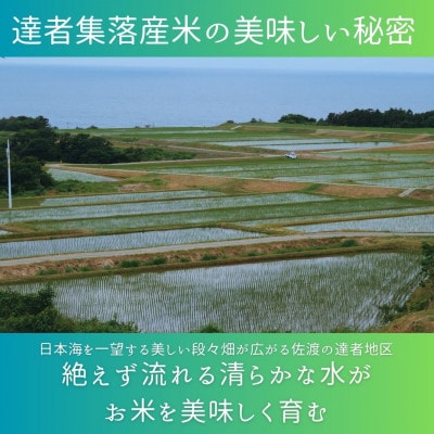 数量限定・生産地域限定【先行予約・令和7年産】新潟県佐渡達者集落産コシヒカリ　精米(無洗米)5kg