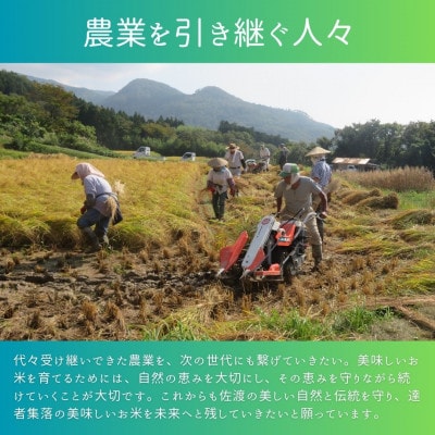 数量限定・生産地域限定【先行予約・令和7年産】新潟県佐渡達者集落産コシヒカリ　精米(無洗米)5kg
