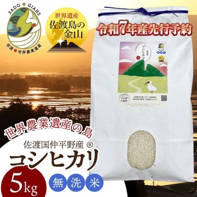 数量限定・生産地域限定【先行予約・令和7年産】新潟県佐渡国仲平野産コシヒカリ　精米(無洗米)5kg