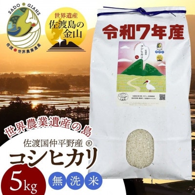 数量限定・生産地域限定【令和7年産】新潟県佐渡国仲平野産コシヒカリ　精米(無洗米)5kg