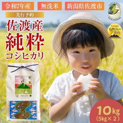 数量限定【先行予約】新潟県佐渡産の純粋コシヒカリ10kg　精米【無洗米】5kg×2袋　(1回のみ)
