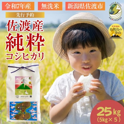 数量限定【先行予約】新潟県佐渡産の純粋コシヒカリ25kg　精米【無洗米】5kg×5袋　(1回のみ)