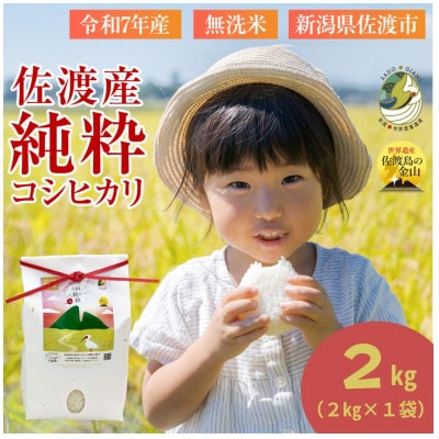 数量限定【令和7年産】新潟県佐渡産の純粋コシヒカリ　精米【無洗米】2kg