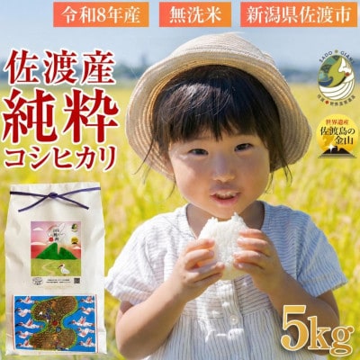 数量限定【令和8年産】新潟県佐渡産の純粋コシヒカリ　精米【無洗米】白米5kg