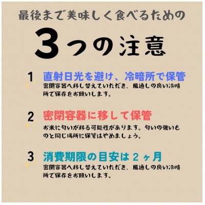 数量限定【令和8年産】新潟県佐渡産の純粋コシヒカリ　精米【無洗米】白米5kg