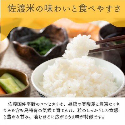 【毎月定期便】(数量限定)佐渡国仲平野産コシヒカリ5kg　精米済み白米<無洗米>全3回
