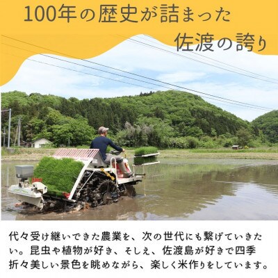 【毎月定期便】(数量限定)佐渡国仲平野産コシヒカリ5kg　精米済み白米<無洗米>全3回