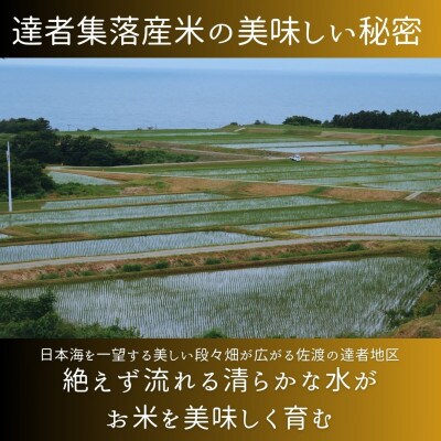 【毎月定期便】(数量限定)佐渡達者集落産コシヒカリ5kg　精米済み白米<無洗米>全3回