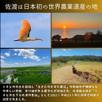 【毎月定期便】(数量限定)佐渡達者集落産コシヒカリ5kg　精米済み白米<無洗米>全3回