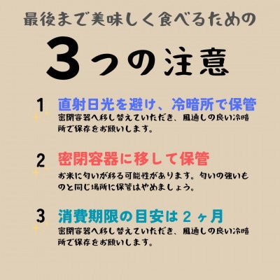 【発送月固定定期便】令和8年12月発送開始　新潟県佐渡産純粋コシヒカリ　白米　旨い無洗米2kg全3回